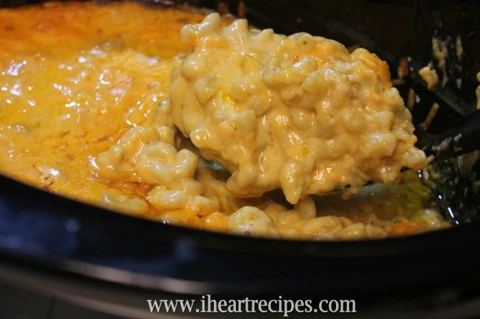 Campbell's condensed cheddar cheese soup recipes